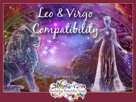 the virgo male|virgo male and leo female.